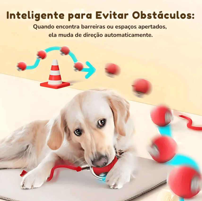 Movimento inteligente da PetHunt